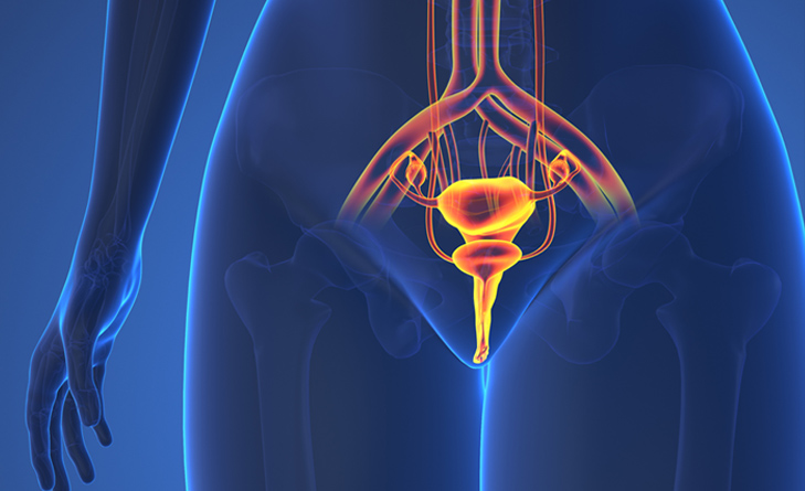 Urogynaecology