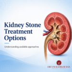 Kidney illustration with kidney stone highlighting kidney stone treatment options